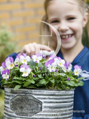 botanic stock photo