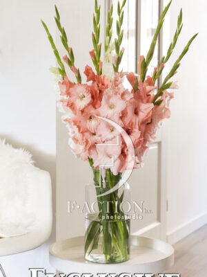 Pink Mixed