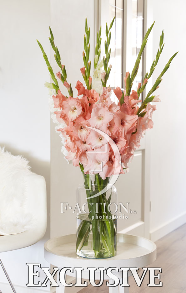 Pink Mixed