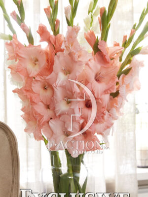 Pink Mixed