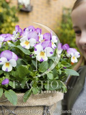 botanic stock photo