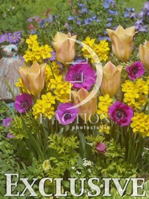 botanic stock photo Spring