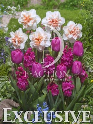 botanic stock photo Spring