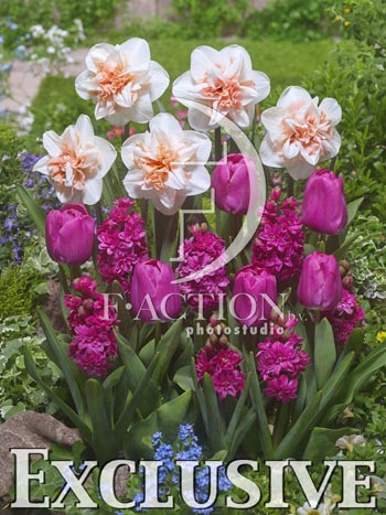 botanic stock photo Spring