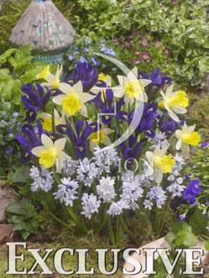botanic stock photo Spring