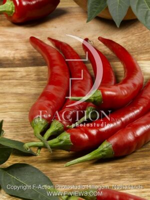 botanic stock photo Capsicum