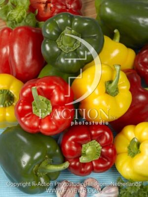 botanic stock photo Capsicum