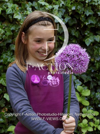 botanic stock photo Allium