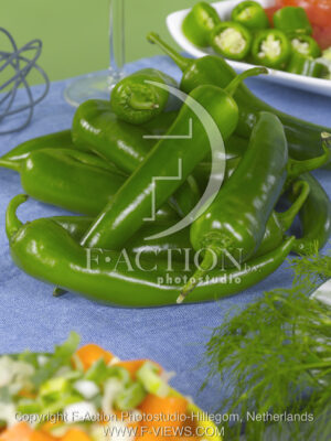 botanic stock photo Chilli