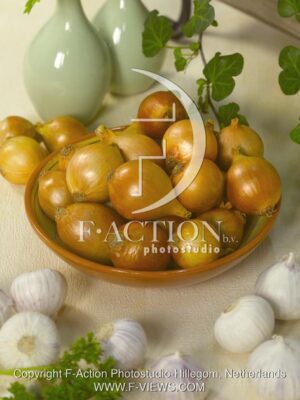botanic stock photo Shallots