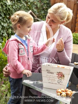 botanic stock photo Bulbs