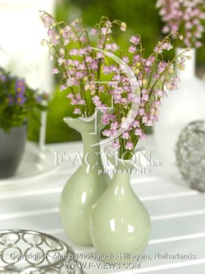botanic stock photo Convallaria