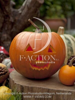 botanic stock photo Pumpkin