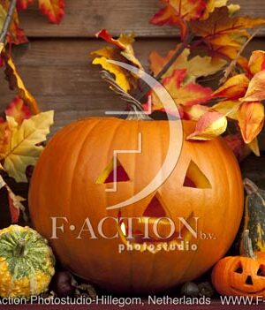 botanic stock photo Pumpkin