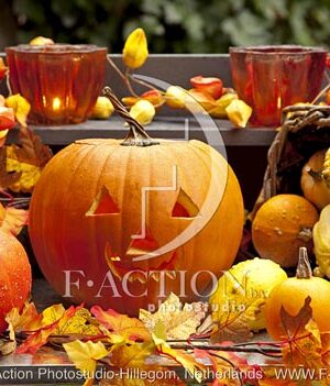 botanic stock photo Pumpkin