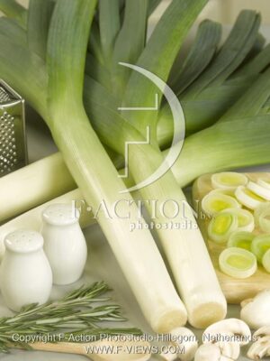 botanic stock photo Leek