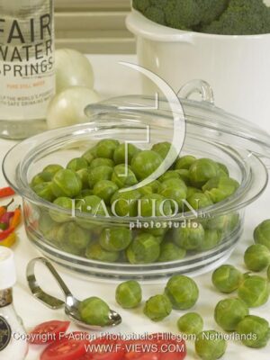 botanic stock photo Sprout