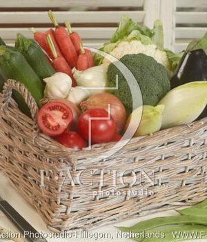 botanic stock photo Vegetable