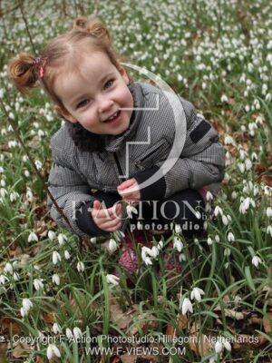botanic stock photo Galanthus