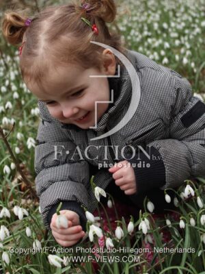 botanic stock photo Galanthus