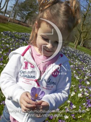 botanic stock photo Crocus