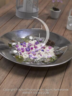 botanic stock photo Hepatica