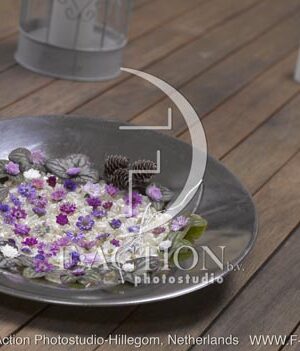 botanic stock photo Hepatica