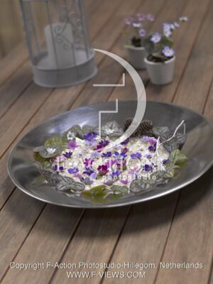 botanic stock photo Hepatica