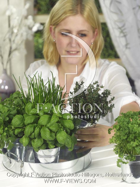 botanic stock photo Mixed