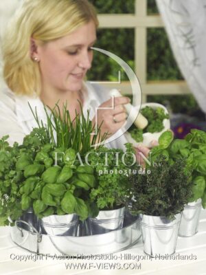 botanic stock photo Mixed