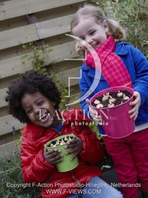 botanic stock photo Bulbs