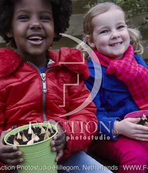 botanic stock photo Bulbs