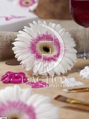 botanic stock photo Gerbera