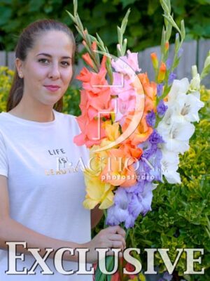 botanic stock photo Gladiolus