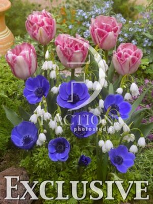 botanic stock photo Spring Garden