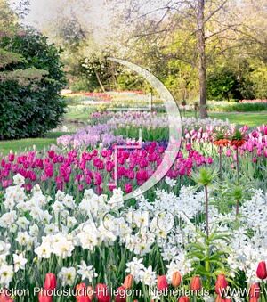 Spring Garden