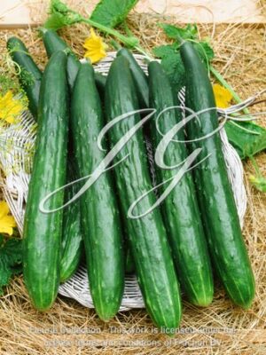 Tasty green