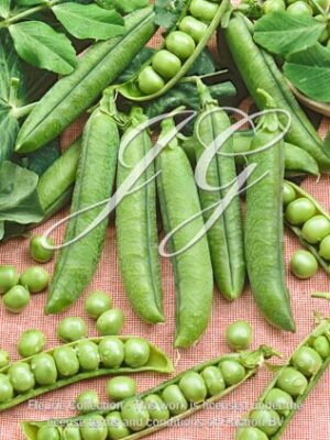 Pea Gigant