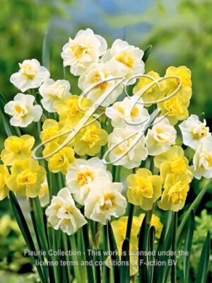 Cheerfulness and Yellow