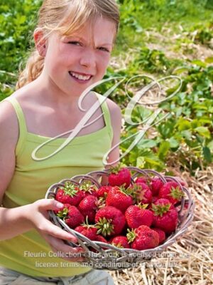 Fragaria