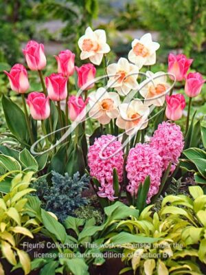 Spring Garden