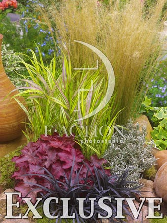 botanic stock photo