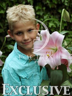 botanic stock photo Lilium