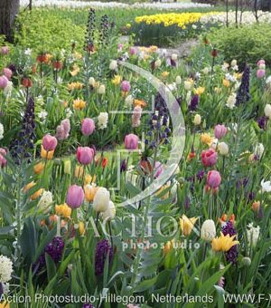 botanic stock photo Spring Garden