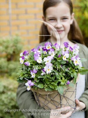 botanic stock photo