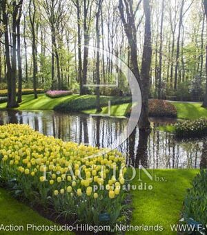 botanic stock photo Spring Garden