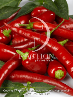 annuum