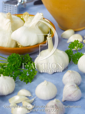 Allicum sativum