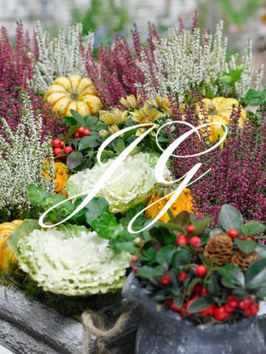 Najaars arrangement