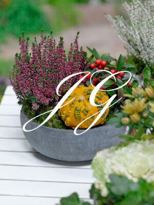 Najaars arrangement